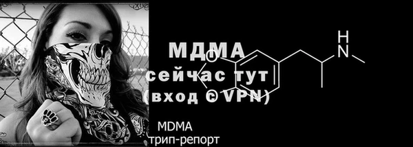 молекула духа Майский