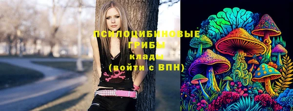 гидра Магадан