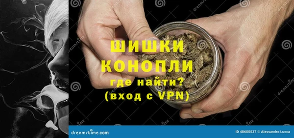 молекула духа Майский