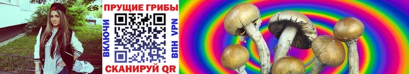 гидра рабочий сайт  Гусь-Хрустальный  Галлюциногенные грибы Psilocybine cubensis  купить  сайты 