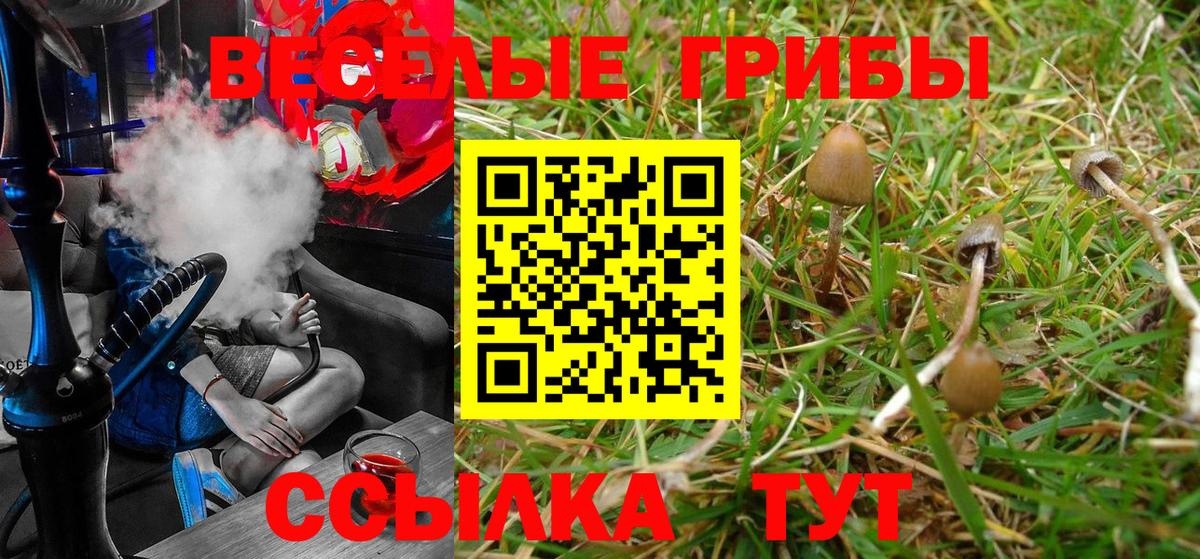 Псилоцибиновые грибы MAGIC MUSHROOMS Гусь-Хрустальный