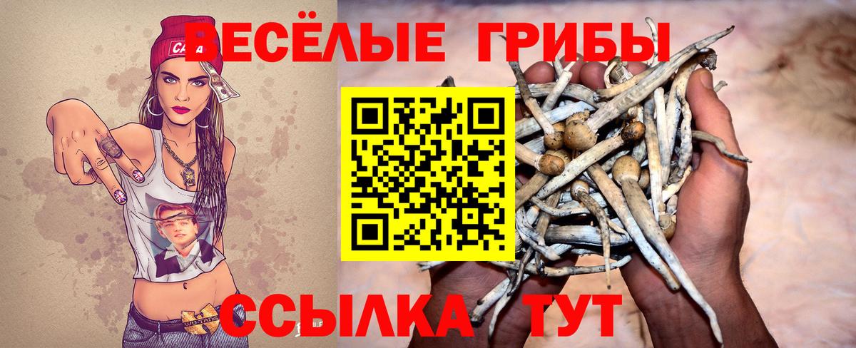 Галлюциногенные грибы мухоморы  Гусь-Хрустальный 