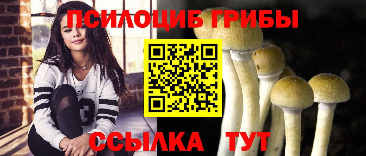 Псилоцибиновые грибы GOLDEN TEACHER  Вход с VPN  Гусь-Хрустальный 