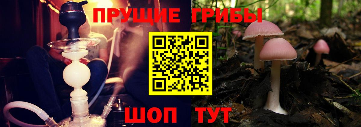 Псилоцибиновые грибы ЛСД Гусь-Хрустальный